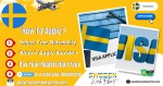 A Comprehensive Guide to Sweden Work Permit and Business Resident Visa Requirements for Vietnamese Citizens